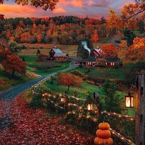 Meet your Posher, Sheila